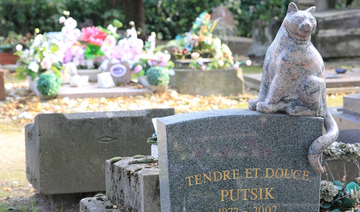 L’étonnant cimetière des animaux d’Asnières