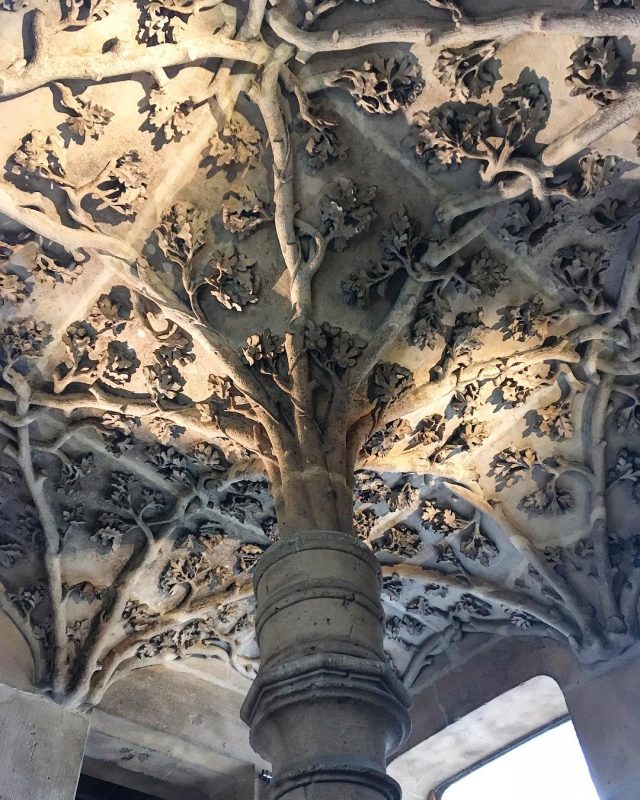 Les sublimes détails végétaux de la voûte de l'escalier dans la tour Jean-sans-Peur. DR