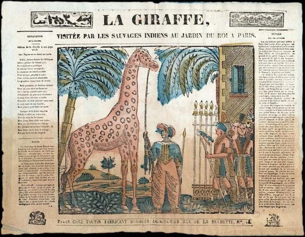girafe-paris-zarafa