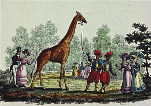 paris-girafe-zarafa-premiere