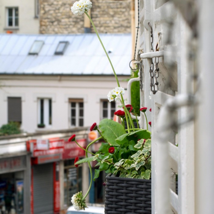 fleur-en-ville-paris-jardinieres-balcon