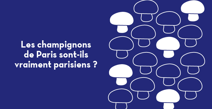 Les champignons de Paris sont-ils Parisiens ? – Paris ZigZag 