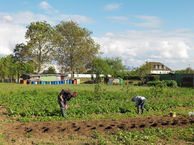 Habitants de Sartrouville cultivant une parcelle en location et bientôt expropriés, Sartrouville, mai 2015 / © Geoffroy Mathieu