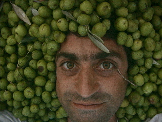 cedric-casanova-la-tete-dans-les-olives