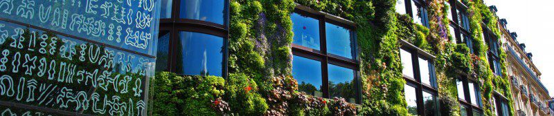 musee-quai-branly-mur-vegetal-paris-7eme