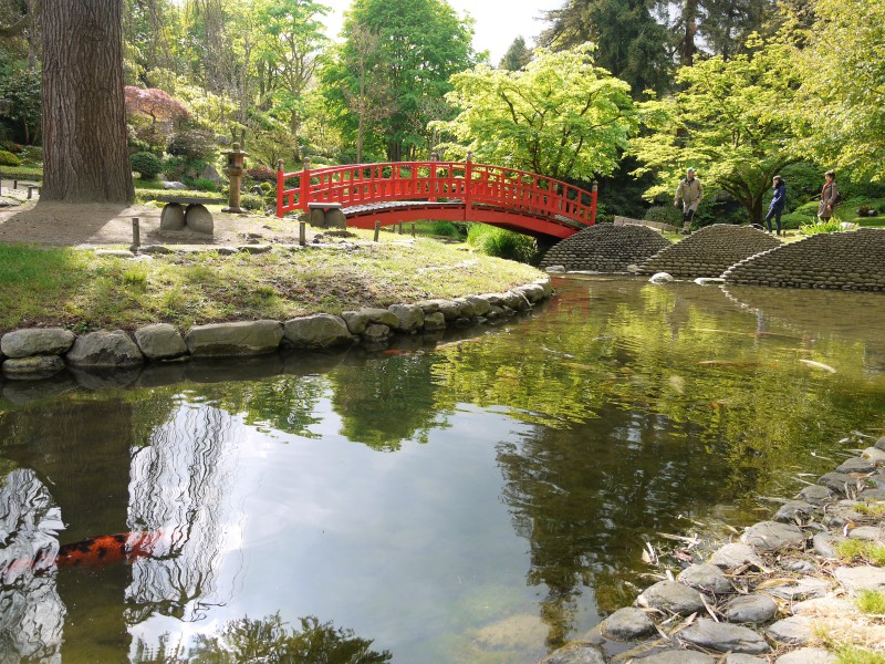 jardins albert kahn boulogne japon