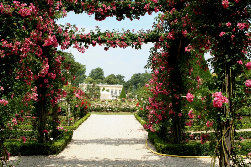 Jardin romantique Bagatelle Paris