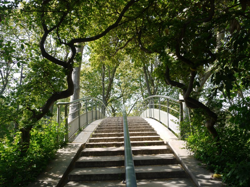 escalier parc bercy paris