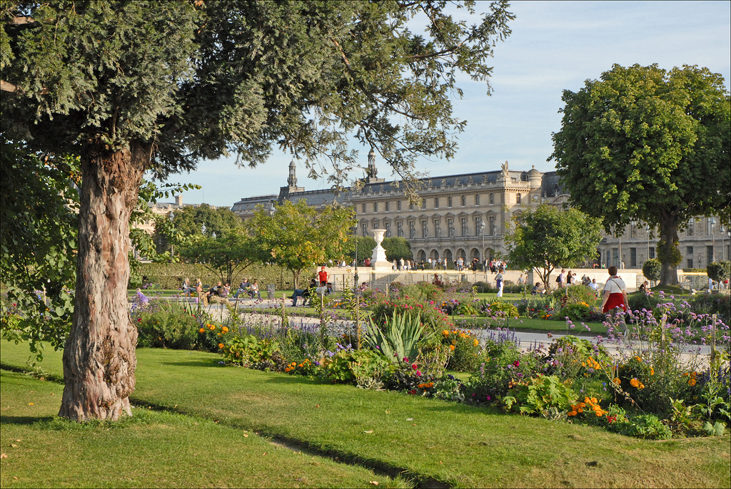 Le jardin des tuileries