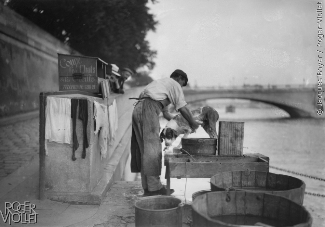 Tondeur de chiens sur les bords de la Seine, vers 1910.