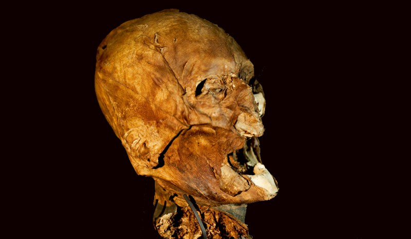 La supposée tête momifiée d'Henri IV