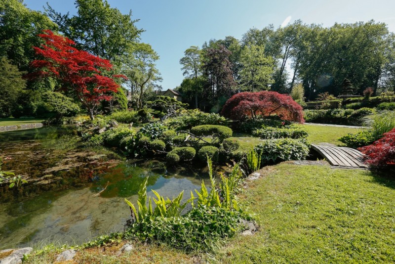 Le jardin japonais du Château de Courances
