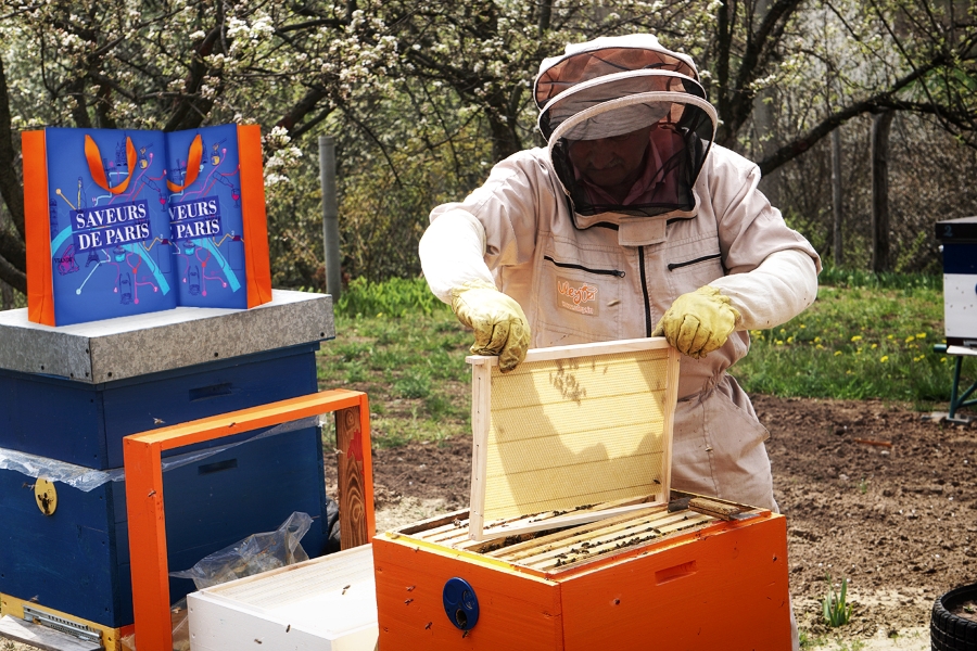 Atelier fabrication miel