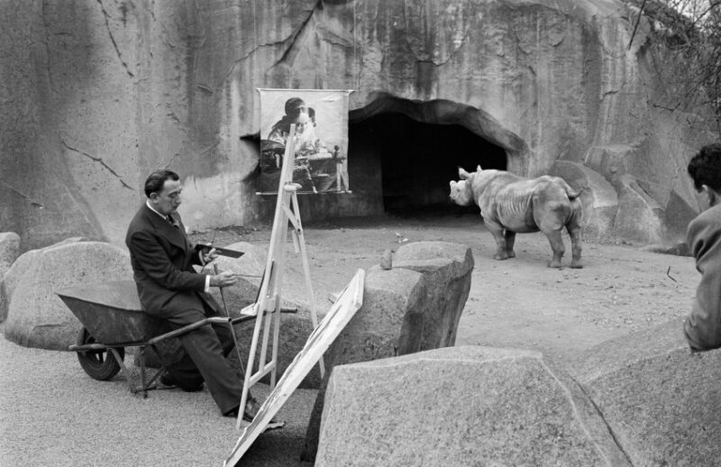Dalí aménage son atelier improvisé au zoo de Vincennes