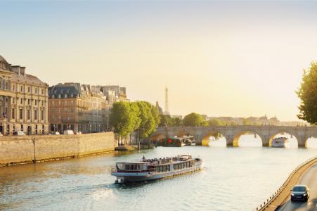 La Seine et le Pont Neuf