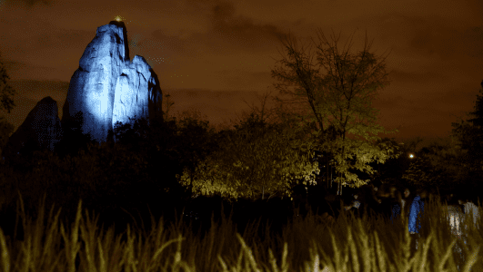 zoo-paris-nocture-evenement