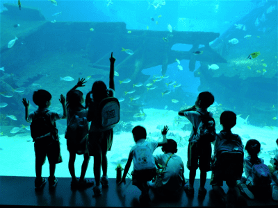 Enfants à l'aquarium