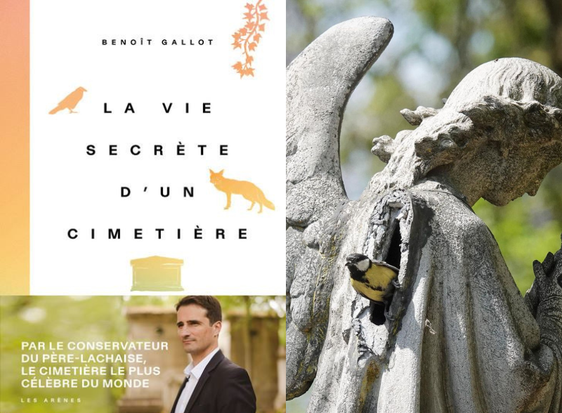 “La vie secrète d’un cimetière”, par Benoît Gallot. Crédit : Editions Les Arènes