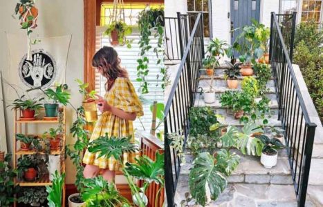 Vente de plantes à Beaugrenelle