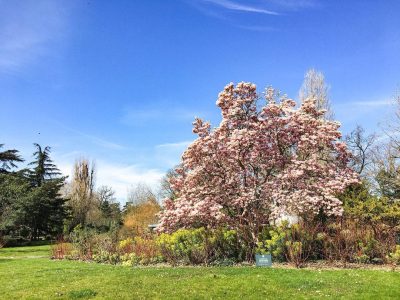 © @jardindacclimatation (instagram)