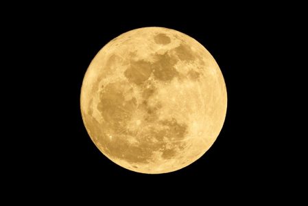 Lune des fleurs / lune dorée