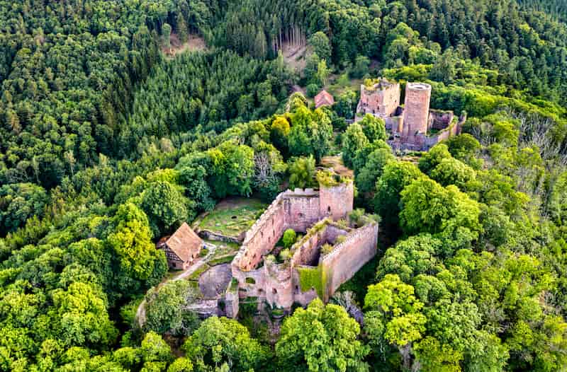 Les ruines du château d'Eguisheim © Leonid Andronov