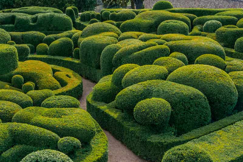 Détails des Jardins de Marqueyssac © Irina Crick / Shutterstock