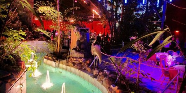 La Palmeraie bar