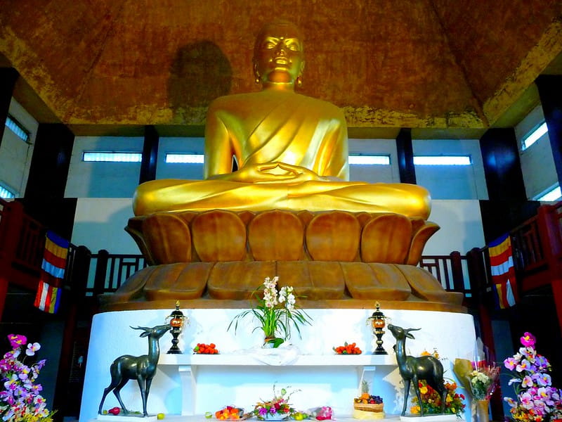Bouddha ©Flickr Thom Sheridan
