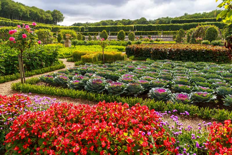 Les jardins de Villandry © goga18128 / Shutterstock