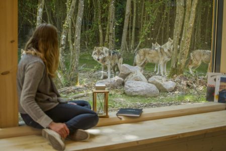 Dormir avec les loups - Parc animalier de Sainte-Croix