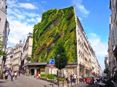 Oasis d'Aboukir