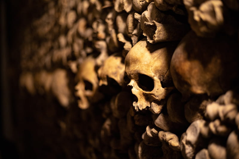Les catacombes © Chase / Adobe Stock