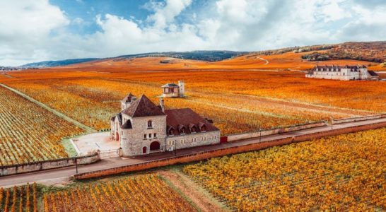 Chateau bourgogne © AdobeStock new