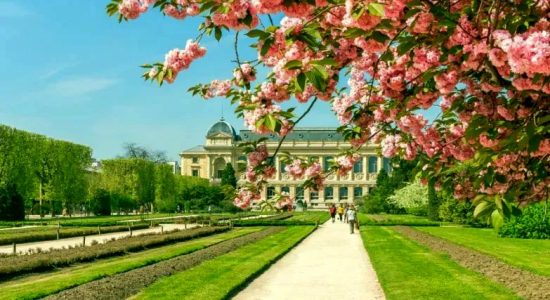 jardin plantes paris zigzag