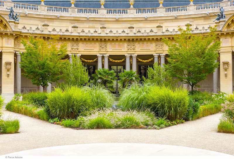 Le jardin intérieur du Petit Palais et sa végétation exotique
