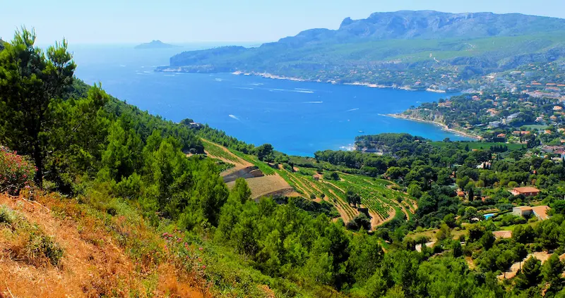 Les vignobles de Cassis, l’une des nombreuses fiertés de la ville © CRT Provence-Alpes-Côte d'Azur