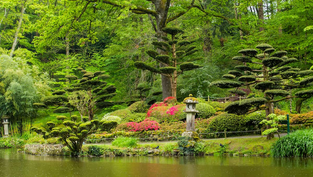 Jardin japonais de Maulevrier