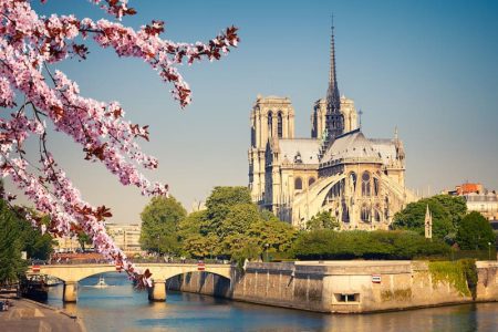 Notre-Dame de Paris Crédit : Adobe Stock - sborisov