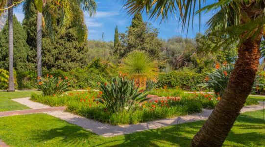 Le jardin botanique du Val Rhameh © Dan Tiégo / Adobe Stock