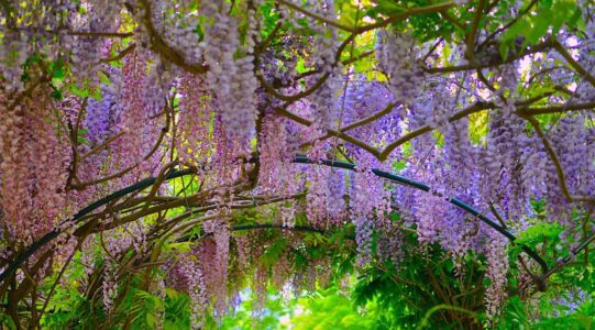 Le parc des Impressionnistes © Moonik