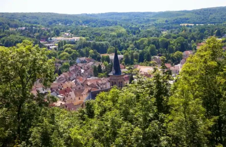 Forêt de la Madeleine © Flickr