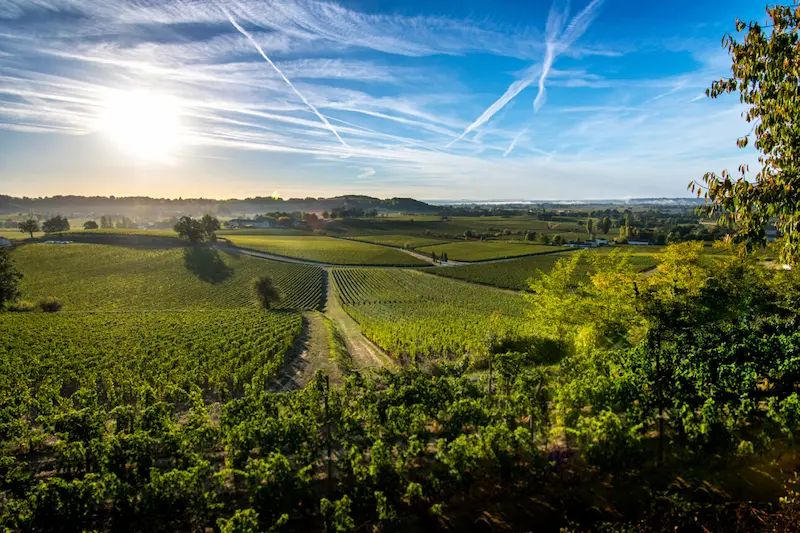 Saint-Émilion et le vin, une association qui n’a plus à faire ses preuves © Franck Haudiquert