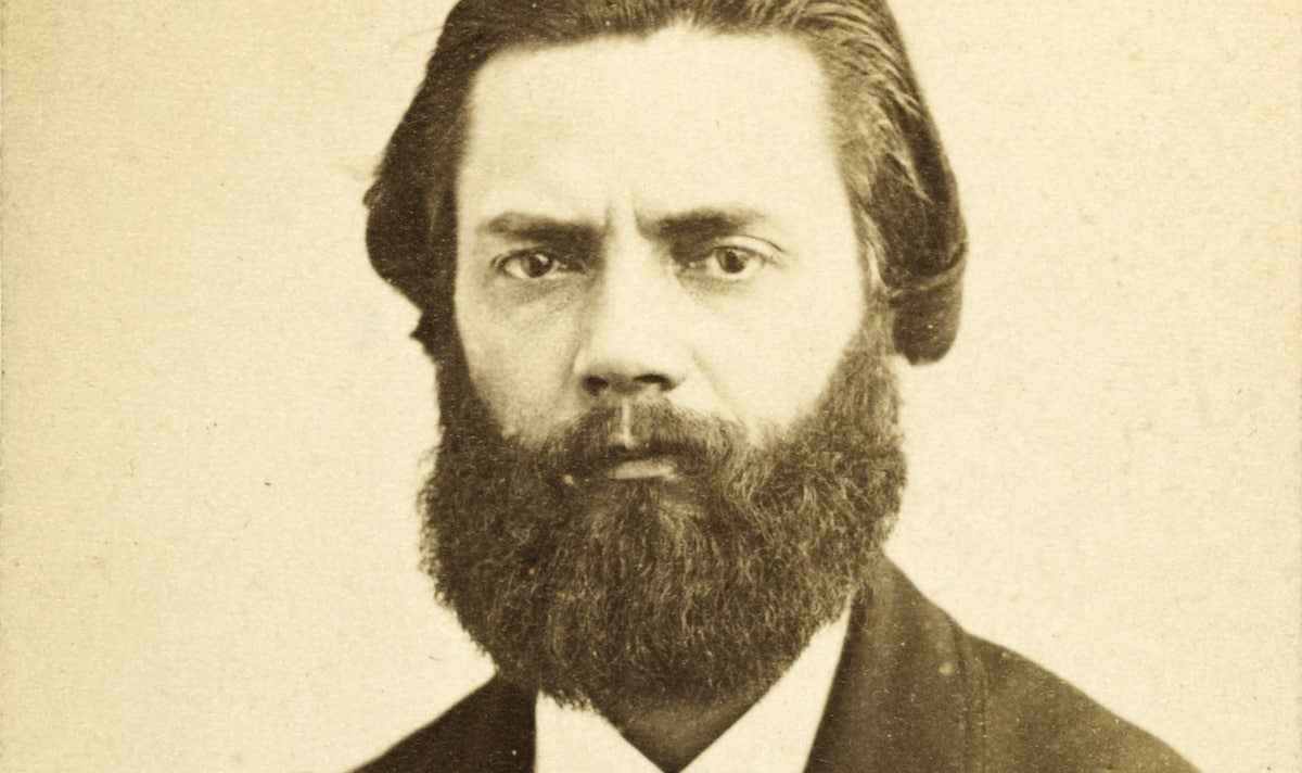 Ernest Eugène Appert, Portrait de Jules Vallès, 1866