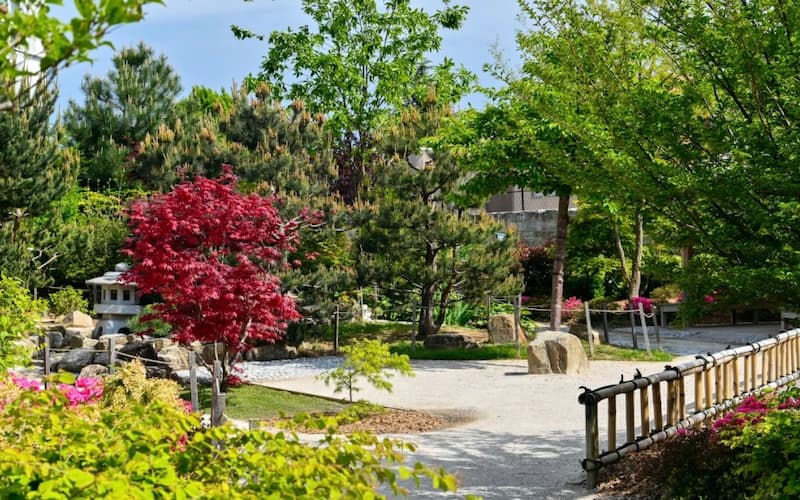 Jardin japonais d'Ichikawa © Issy-les-Moulineaux
