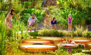 © Le potager extraordinaire de la Roche sur Yon