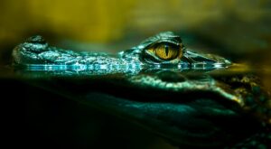 © kirpad / Adobe Stock