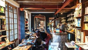 © L'Ours et la Vieille Grille