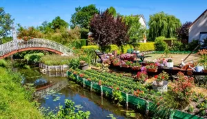 Hortillonnages Amiens © Guy Ozenne