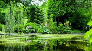 Les Jardins de Séricourt @niko62223